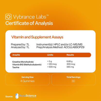 VYBRANCE LABS Creapure Creatine Gummies 5g + Taurine & B12 – Sugar-Free, Vegan, Gluten-Free – Citrus Mango (120 Count)