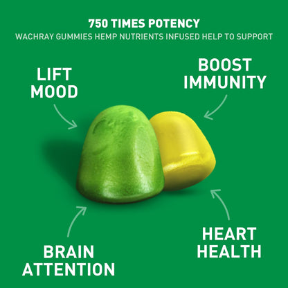 WACHRAY Nutrition: 3 Packs Organic Hemp Gummies – 7.5M High Strength Hemp Oil Infused, 240 Gummies per Bottle