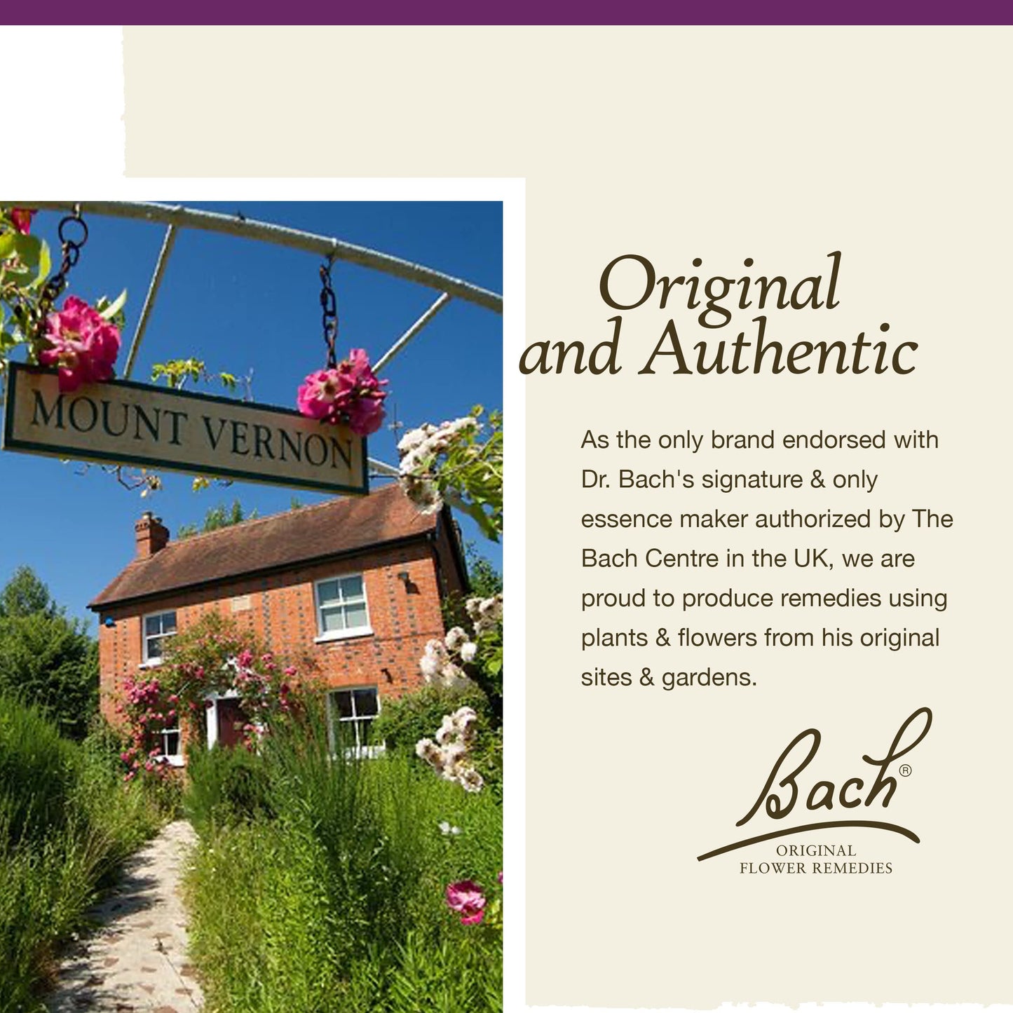 Water Violet Bach Original Flower Remedies - Connect with Others - 20mL Dropper - Vegan, Gluten Free