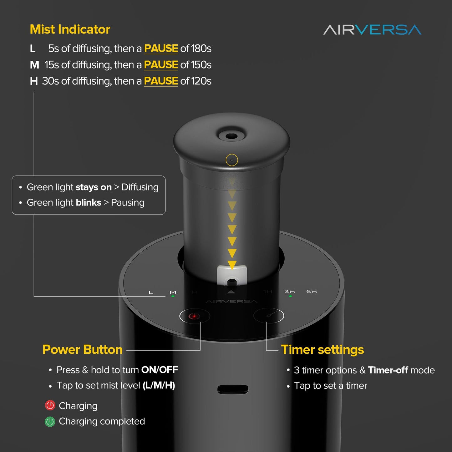 Waterless Diffuser Starter Kit – Ritz-C. Inspired Fragrance AN6