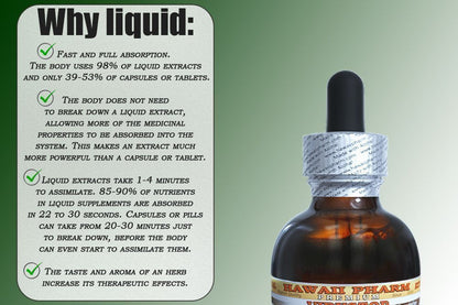 Watermelon Seed NON-Alcohol Liquid Extract (Cucurbita Citrullus) Glycerite - Hawaii Pharm USA 2 fl oz