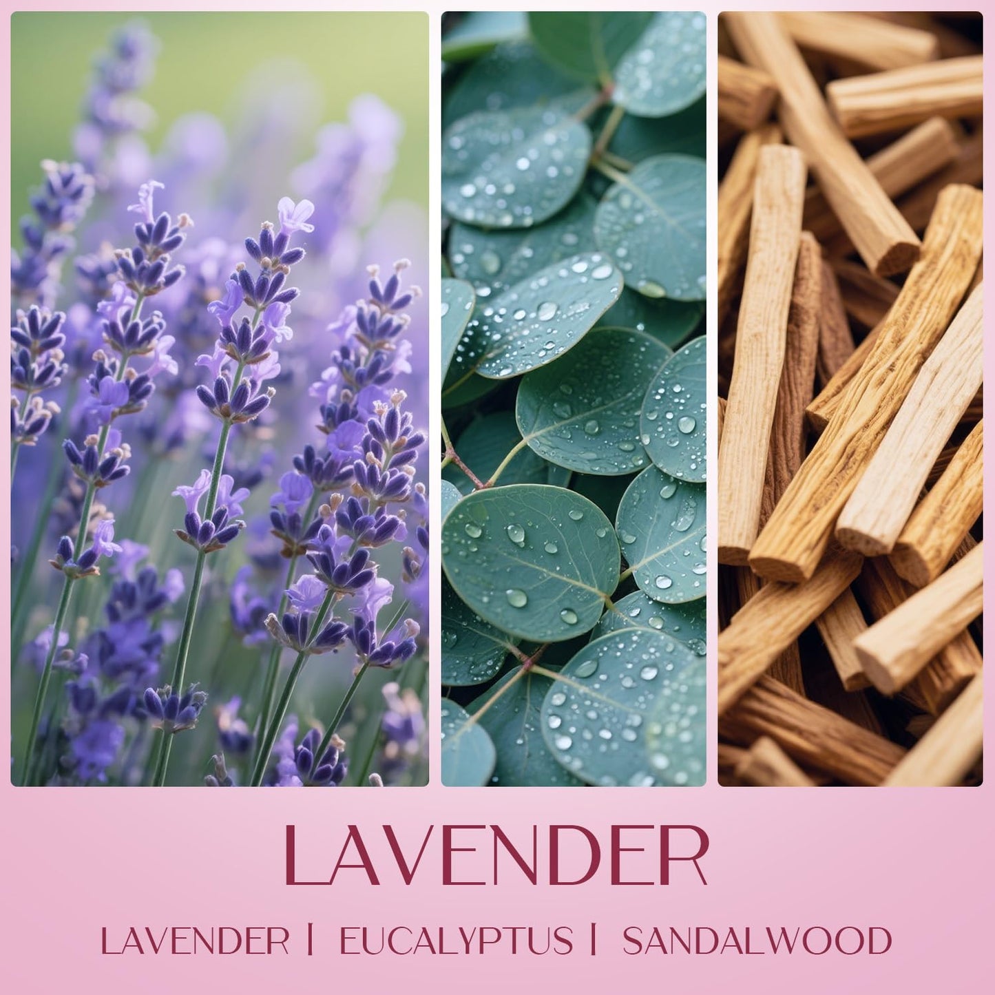 Waxcanpy Scented Candles for Women – Lavender & Vanilla Soy Gift Set (2 Pack)