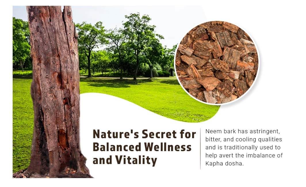 WAY 4 Organic Neem Bark Capsules (W4O) – 300 Pills, 150 Servings, 1000 mg