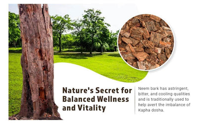 WAY 4 Organic Neem Bark Capsules (W4O) – 300 Pills, 150 Servings, 1000 mg