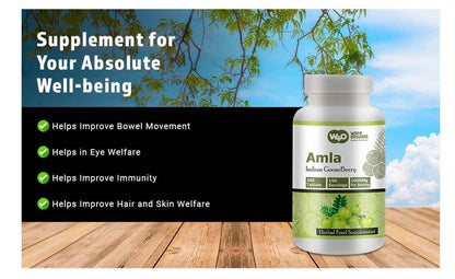 WAY 4 ORGANIC W4O Amla Fruit Extract Capsules (Tablets) - 300 Pills, 150 Servings, 1000 mg, Amalaki Fruit (Pack of 2)