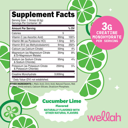 Wellah Creatine + Hydration Powder (Cucumber Lime) – 30 Servings