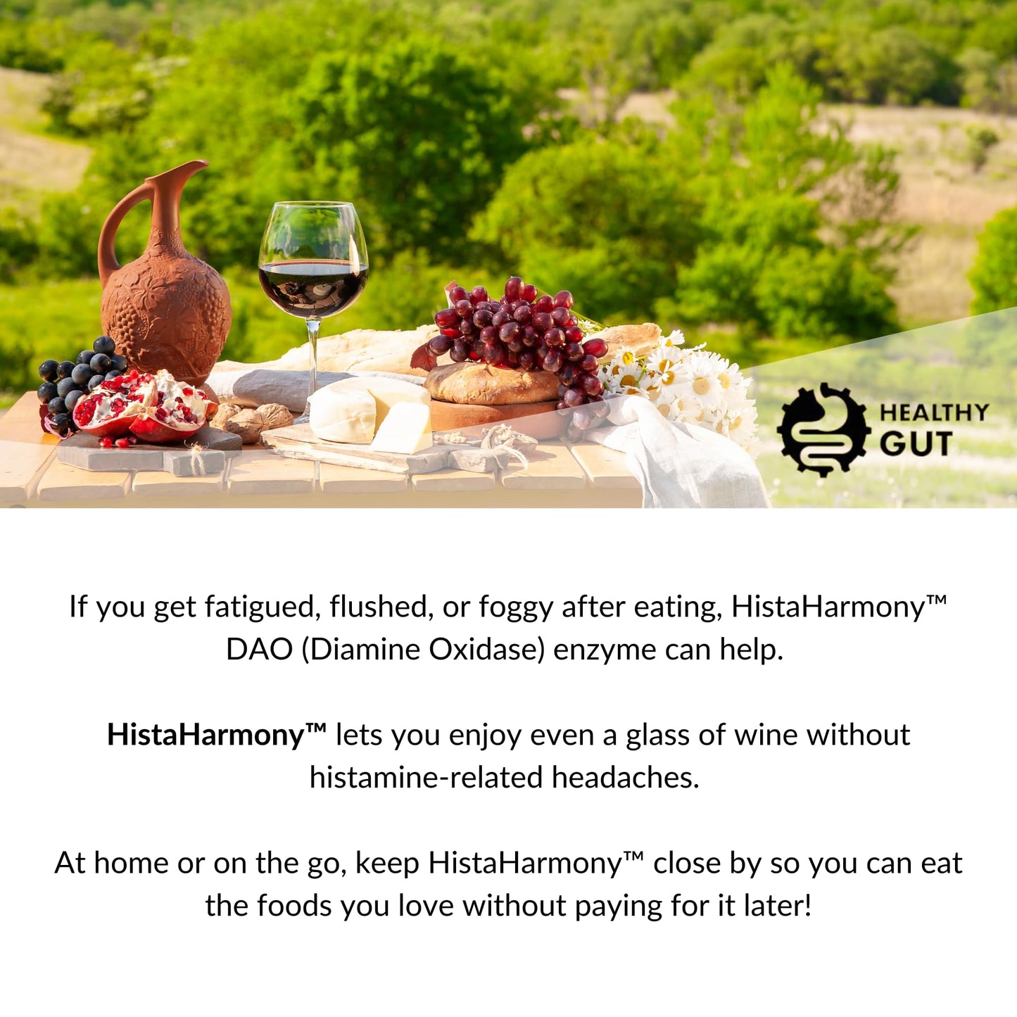 Healthy Gut HistaHarmony DAO Enzyme Supplement – 30,000 HDU, Delayed Release, 60 Servings