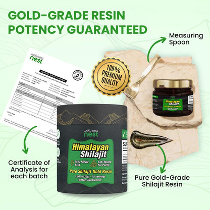 Wellness Nest Gold Grade Shilajit Resin – 24k Gold, 75%+ Fulvic Acid, Lab-Tested 30g