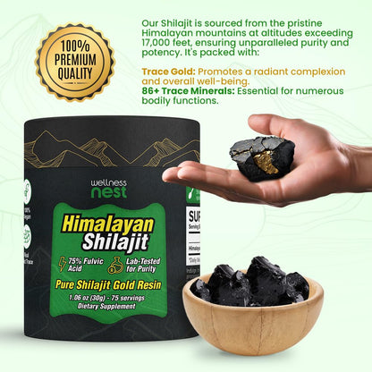Wellness Nest Gold Grade Shilajit Resin – 24k Gold, 75%+ Fulvic Acid, Lab-Tested 30g