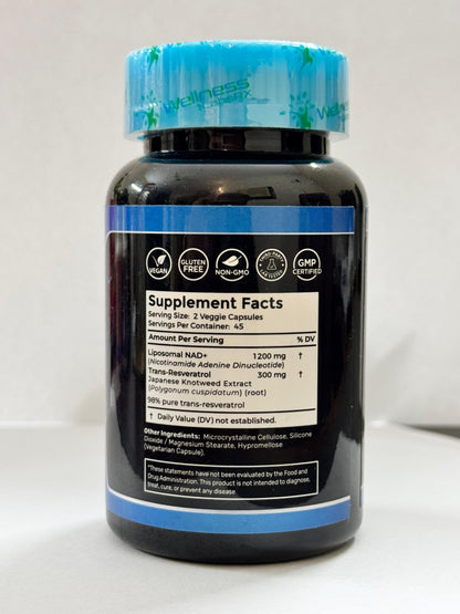 Wellness LabsRx Liposomal NAD+ Supplement 1500mg – USA Made, 3-Pack for NAD+ Support, Energy & Cellular Health