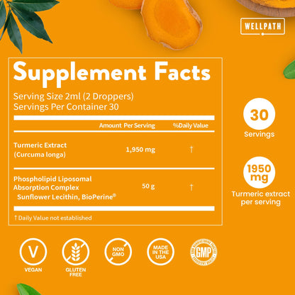 WellPath Liposomal Curcumin | Liquid Turmeric Drops with Black Pepper – Enhanced Absorption | Non-GMO, Vegan | 2 oz