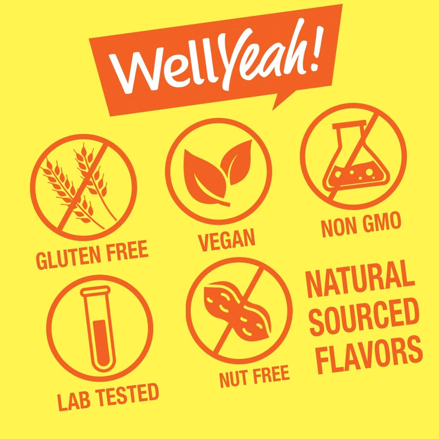 WellYeah Kid's Vitamin B12 1000mcg Gummies – Sugar Free, Strawberry Flavor, 60 Count (Pack of 2)