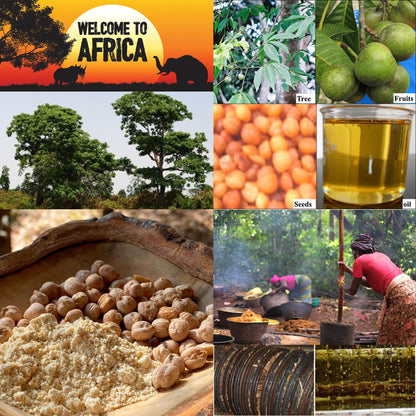 West African Akpi Seeds HIPS Massage Oil for Comfortable Movement