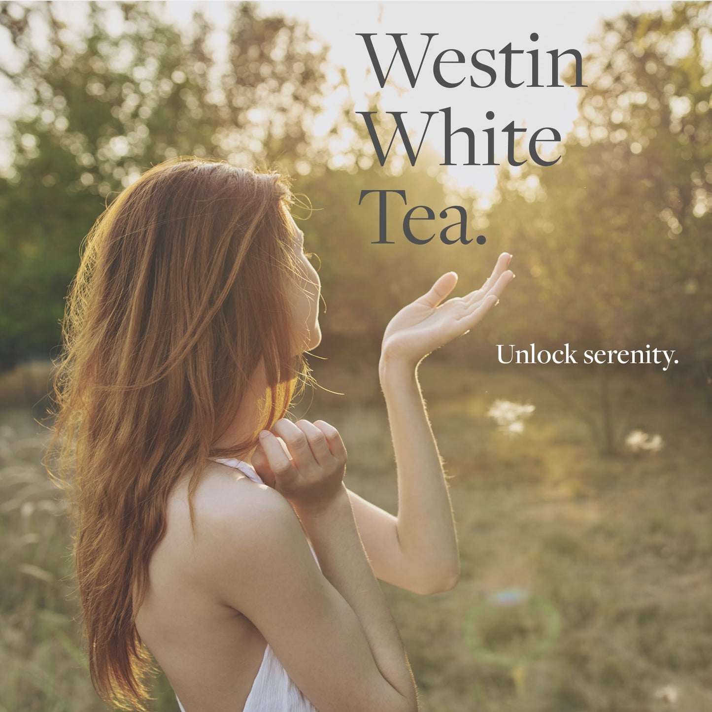Westin White Tea Diffuser Refill Cartridge - Authentic Westin Fragrance