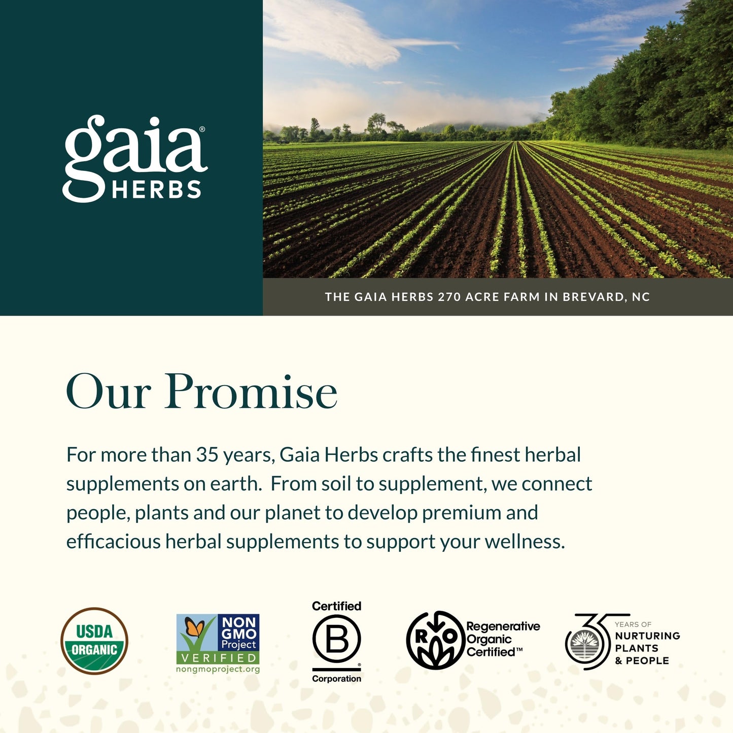 Gaia Herbs Prostate Health - Supports Prostate Function with Saw Palmetto, Green Tea, Nettle Root & White Sage - 120 Vegan Liquid Phyto-Caps (60 Servings)