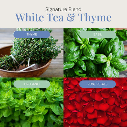White Tea & Thyme Aroma Oil – Essential Oils Blend for Diffusers (300 mL)