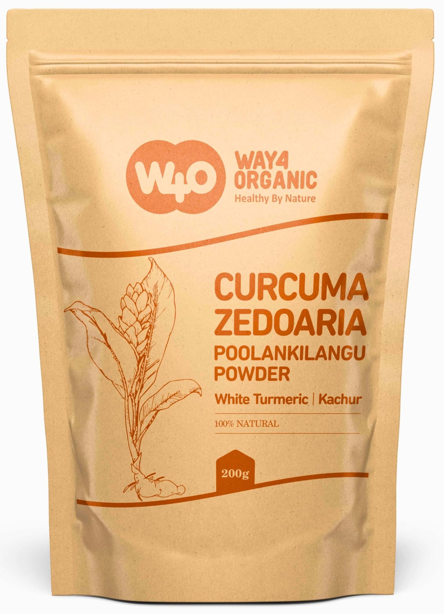 White Turmeric Powder (Poolankilangu, Curcuma Zedoaria, Kachur Root) – Ground 8 oz (226 g) Pack of 2