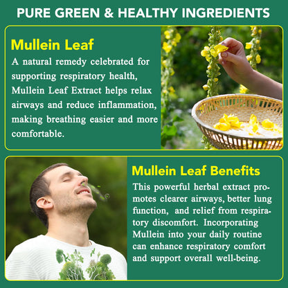 WHLH & Well-Being Mullein Leaf Gummies 2-Pack