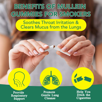 WHLH & Well-Being Mullein Leaf Gummies 2-Pack
