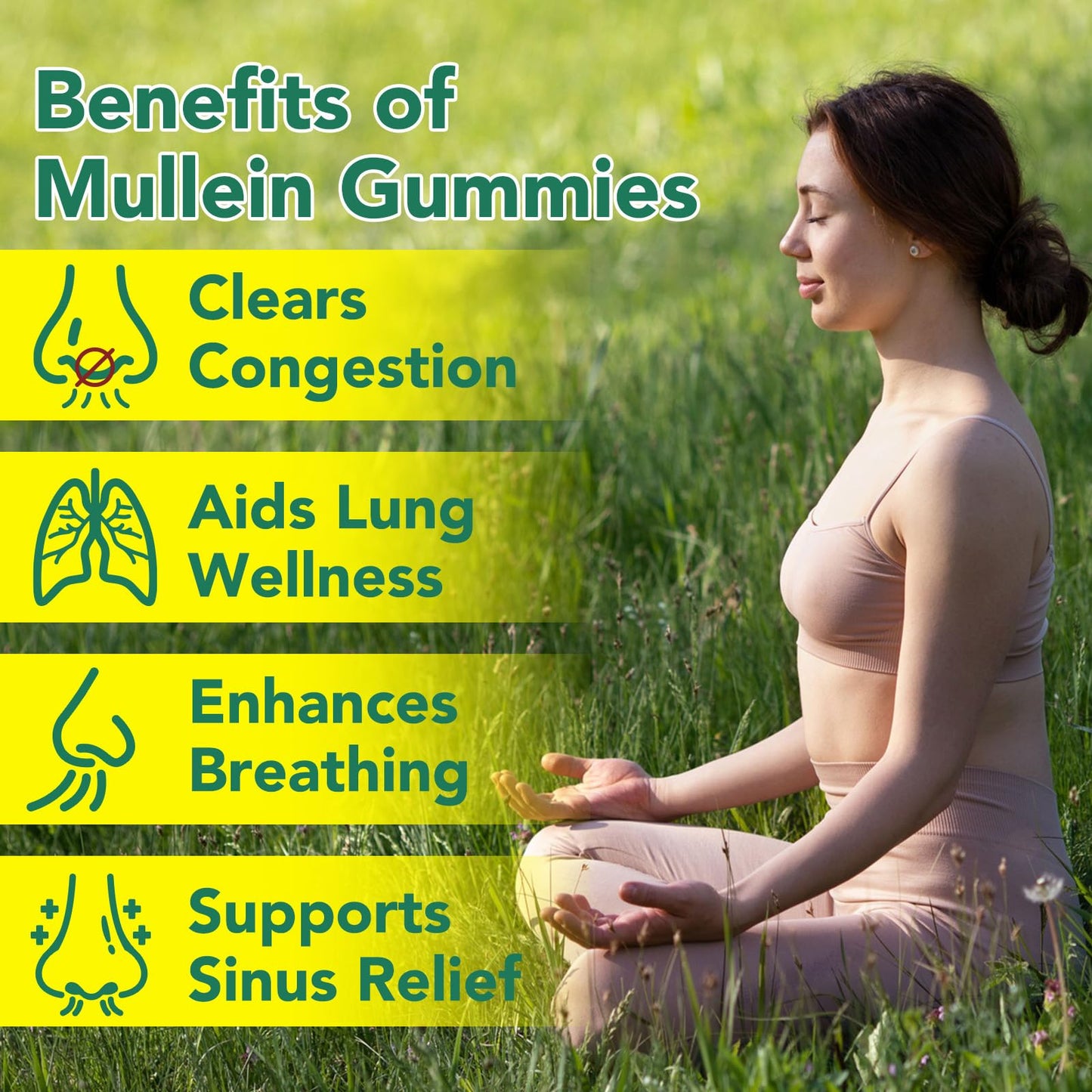 WHLH & Well-Being Mullein Leaf Gummies 2-Pack