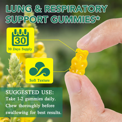 WHLH & Well-Being Mullein Leaf Gummies 2-Pack