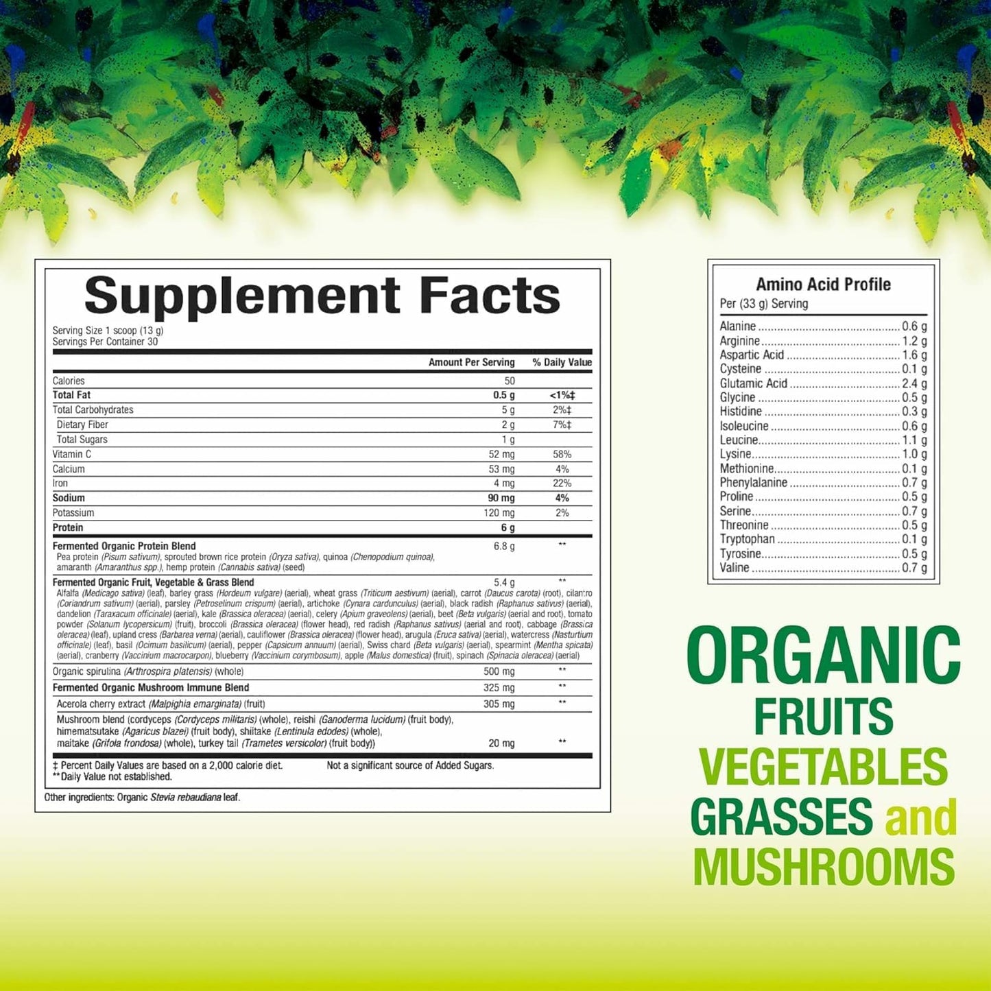 Natural Factors Whole Earth & Sea Organic Fermented Greens — Vegan, Unflavored, 13.8 oz