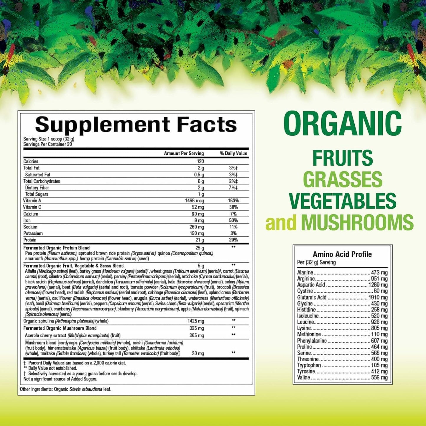 Whole Earth & Sea Organic Fermented Protein & Greens, Unflavored, 1 lb 9 oz | Natural Factors