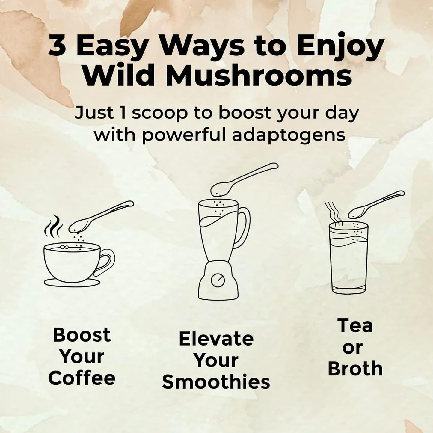 Wild Foods Lions Mane Powder 10:1 Organic Mushroom Extract – 4 oz Pack of 2 | Brain Health & Focus