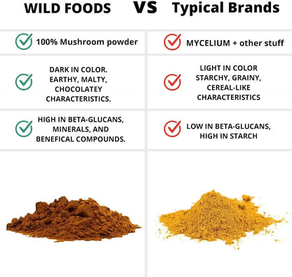 Wild Foods Lions Mane Powder 10:1 Organic Mushroom Extract – 4 oz Pack of 2 | Brain Health & Focus