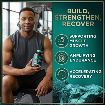 WILD FUEL HMB + Vitamin D3 Capsules – 360 Caps, 1,000–3,000 mg HMB