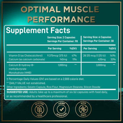 WILD FUEL HMB + Vitamin D3 Capsules – 360 Caps, 1,000–3,000 mg HMB