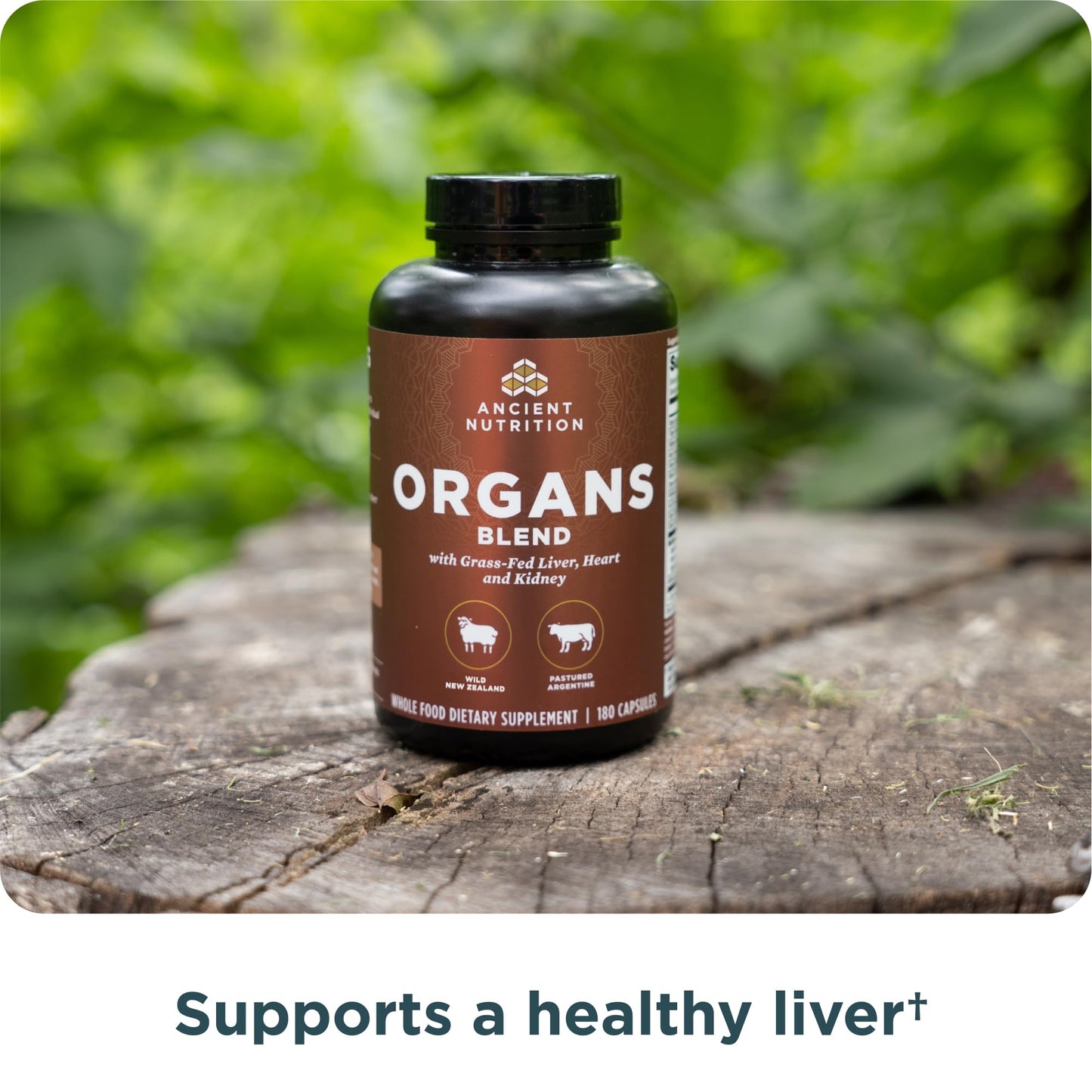 Ancient Nutrition Organ Supplements – Grass-Fed & Wild Organ Complex, 180 Count