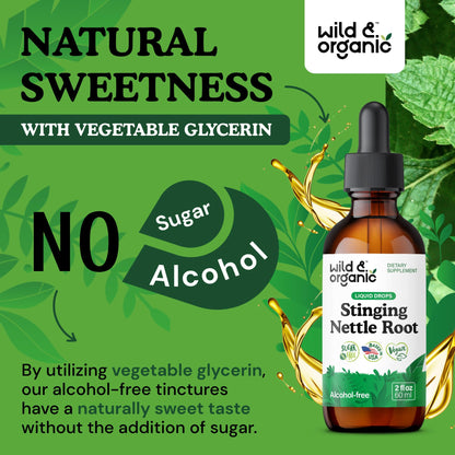 Wild & Organic Stinging Nettle Root Drops - 2 fl oz | Vegan, Alcohol-Free