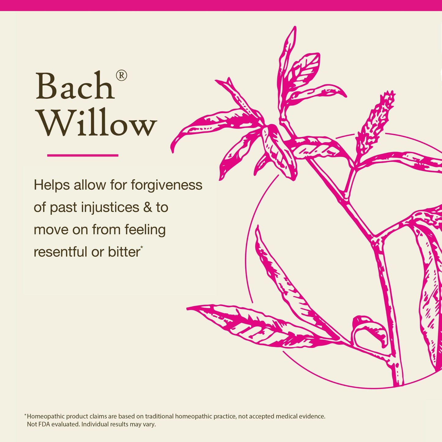 Bach Willow Original Flower Remedies 20mL Dropper – Pack of 2 | Emotional Balance