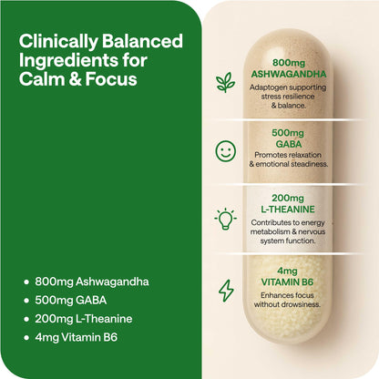 WONDER FAMILY Ashwagandha Complex 800mg with GABA, L-Theanine & B6 – Calm, Focus & Mood (60 Capsules)