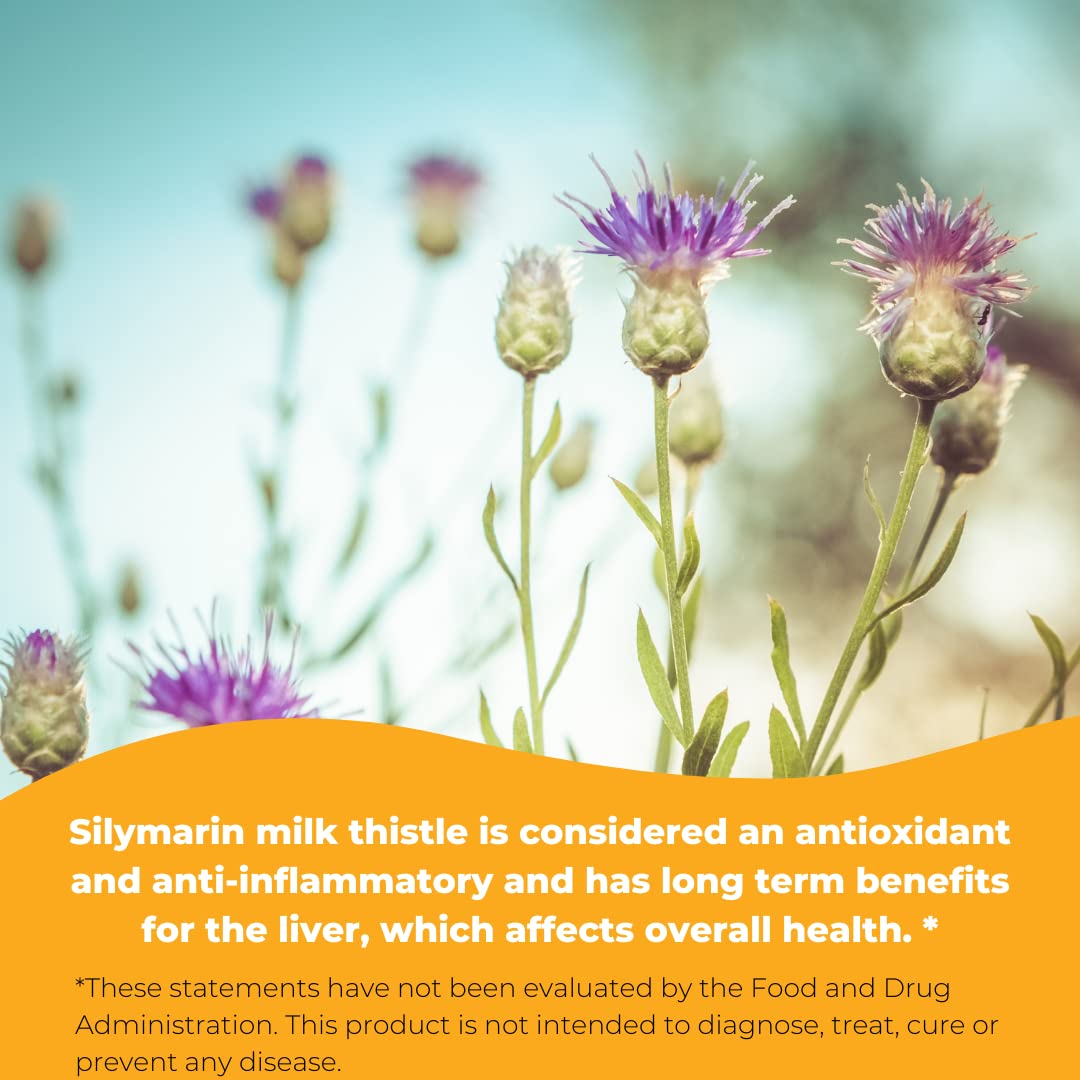 Wonder Labs Silymarin Milk Thistle, Supports Healthy Liver Detox - 250 Capsules