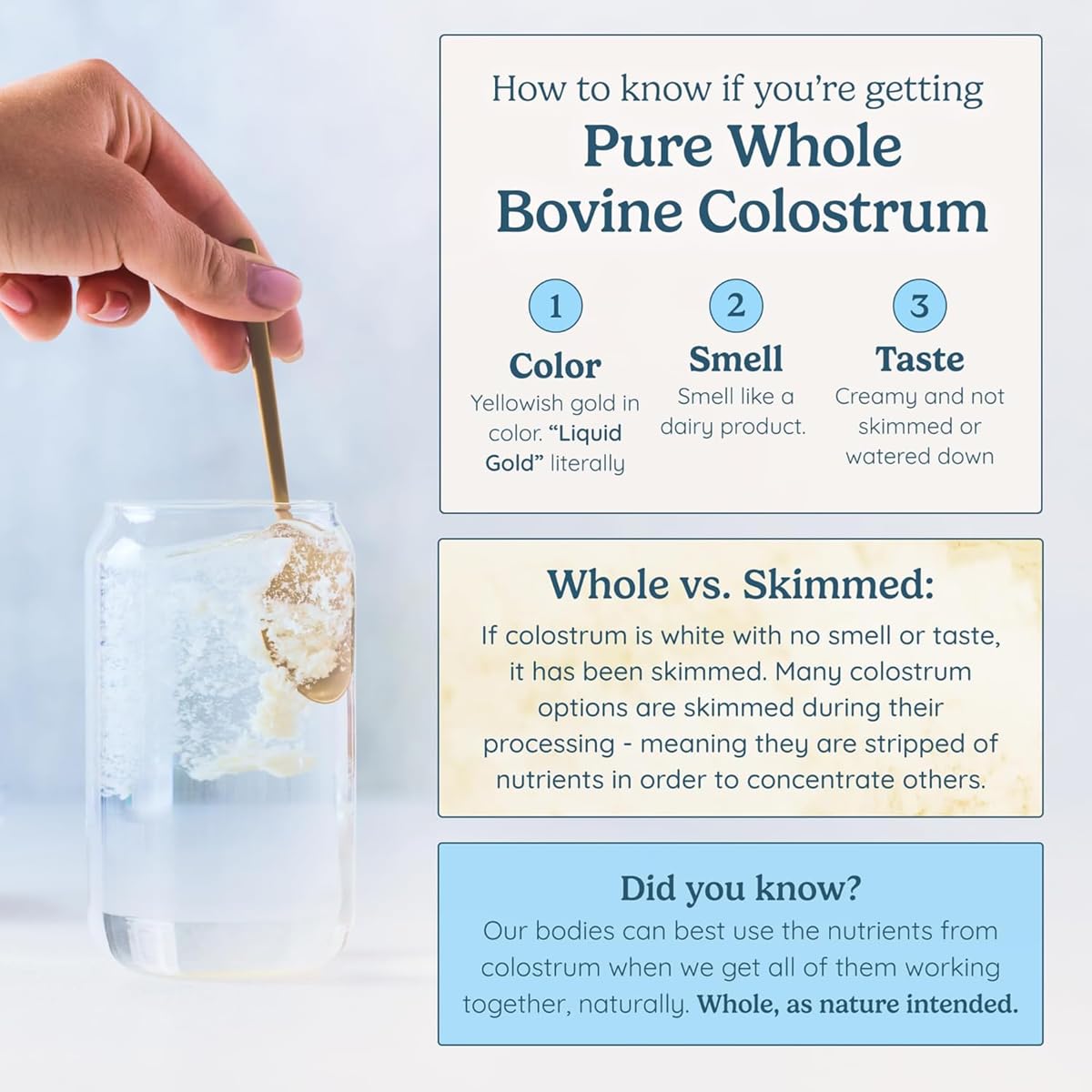 WonderCow Colostrum Powder Vanilla | Gut Health, Immunity & Muscle Recovery, 30 Servings