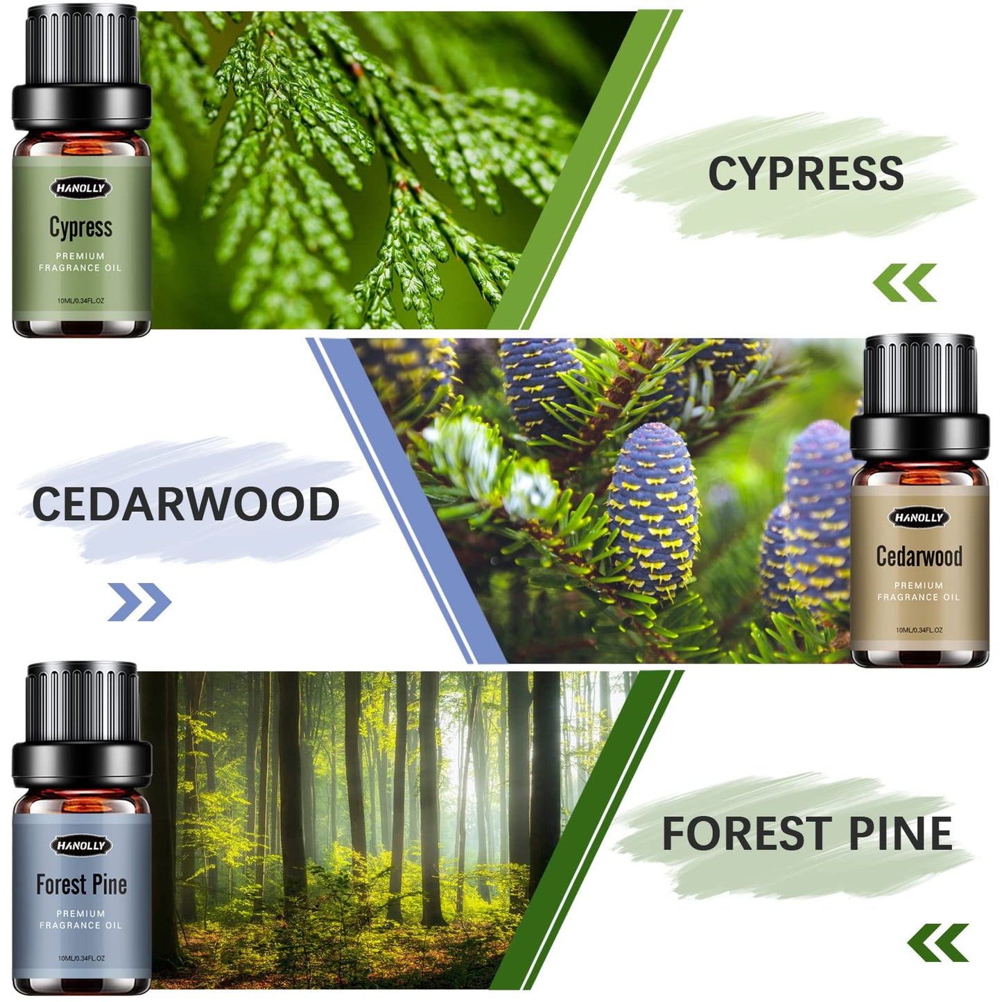Woody Essential Oils Set – 6x10ml Aromatherapy Oils for Diffuser (Sandalwood, Cedarwood, Teakwood, Agarwood, Cypress, Forest Pine)