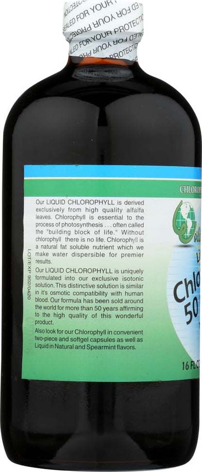 World Organic Liquid Chlorophyll Mint - 50 mg, 16 fl oz