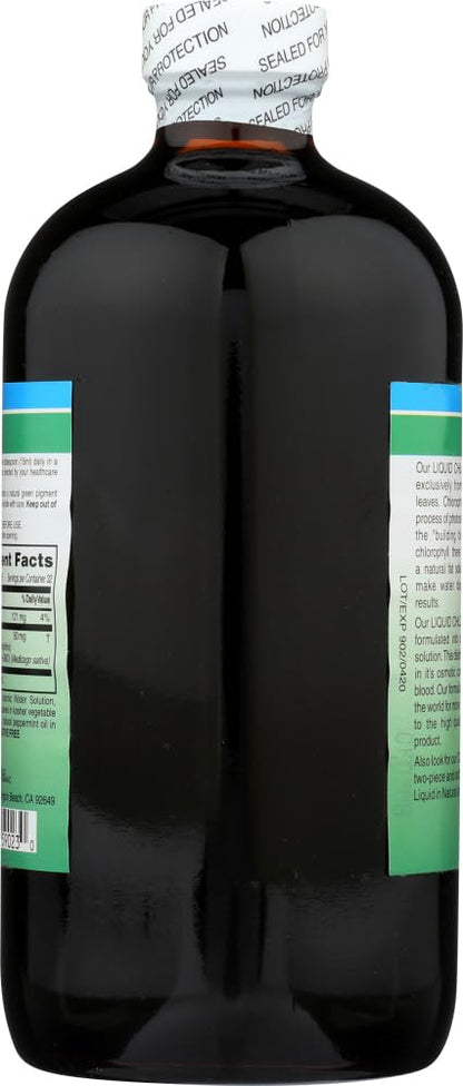 World Organic Liquid Chlorophyll Mint - 50 mg, 16 fl oz