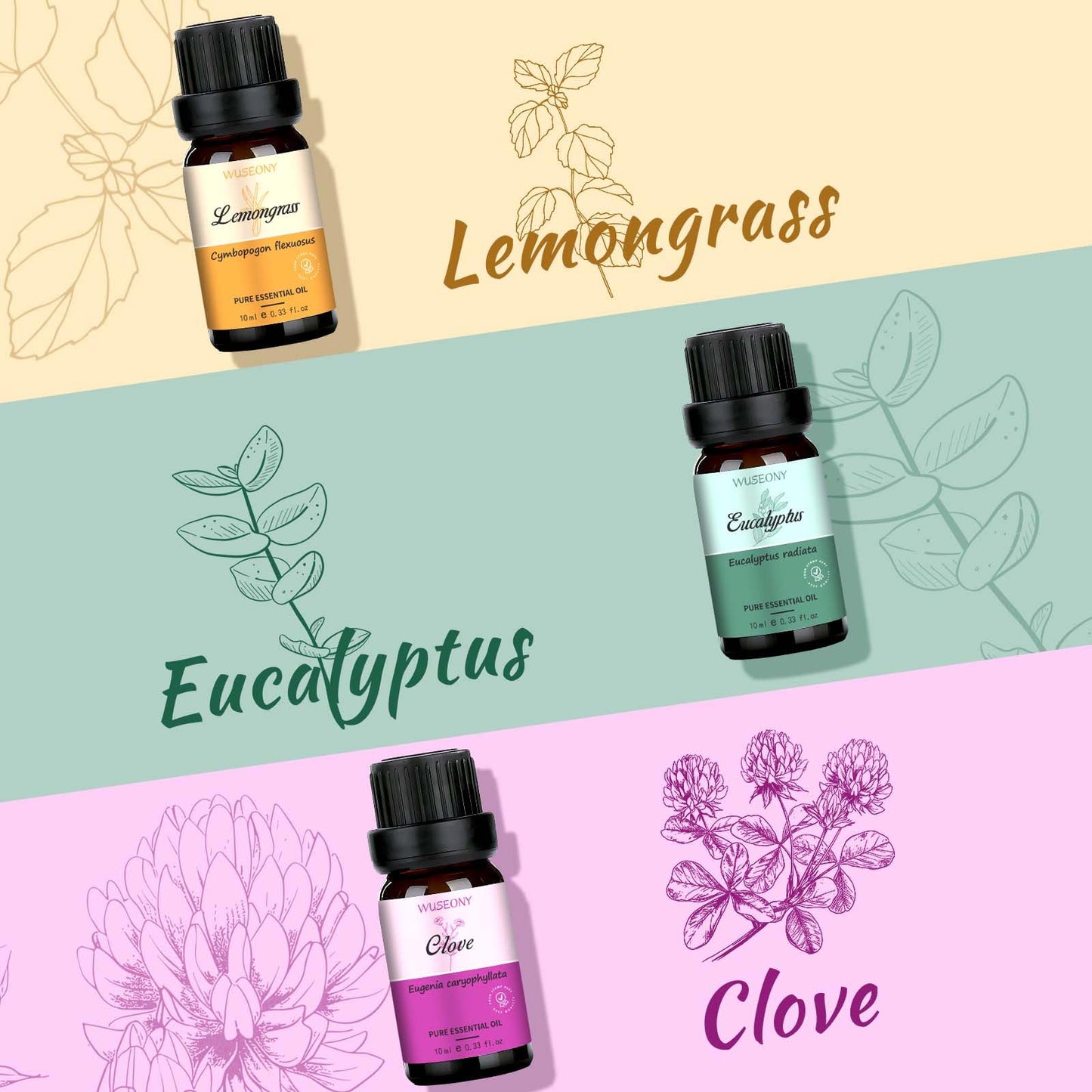 WUSEONY 6 Natural Aromatherapy Oils Gift Set – Lavender, Peppermint & More