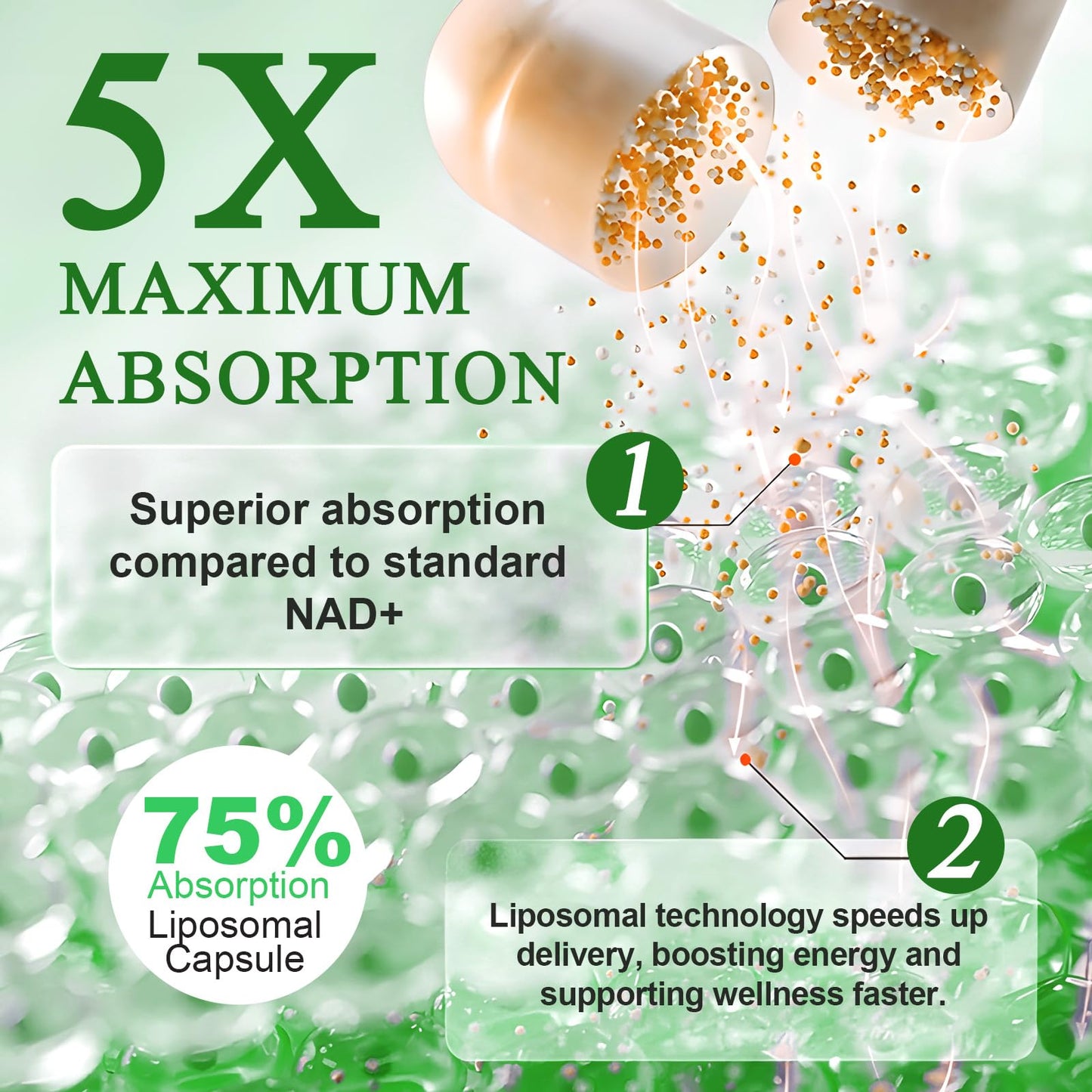 Xaarty NAD Supplement - 910mg Liposomal NAD with Resveratrol & Quercetin | 120 Capsules