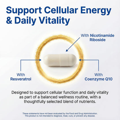 XKQ NAD+ Supplement 910mg – 60 Servings | Nicotinamide Riboside for Energy & Healthy Aging