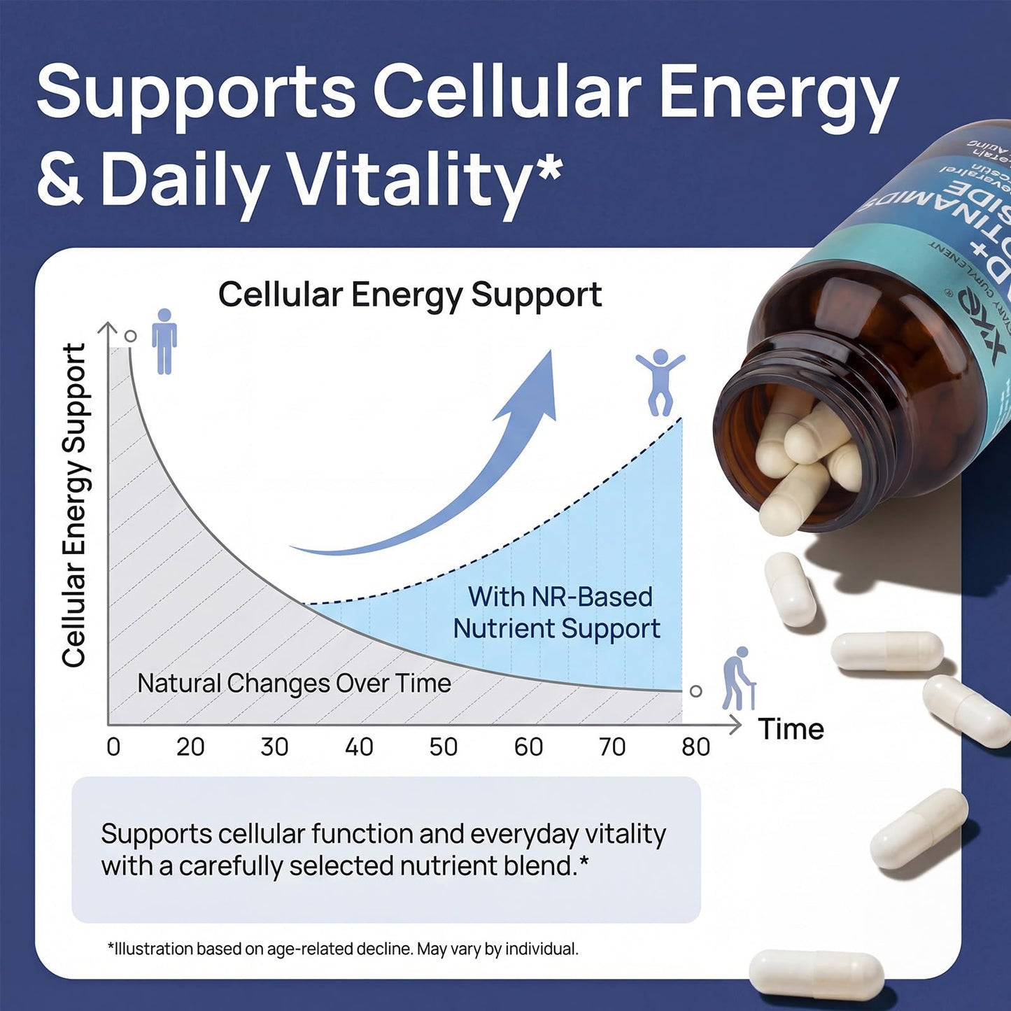 XKQ NAD+ Supplement 910mg – 60 Servings | Nicotinamide Riboside for Energy & Healthy Aging