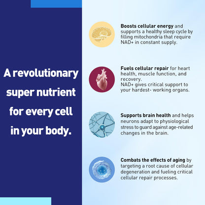 XKQ NAD+ Supplement 910mg – 60 Servings | Nicotinamide Riboside for Energy & Healthy Aging
