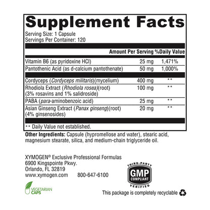 XYMOGEN Adrenal Essence – Adrenal Support with Cordyceps, Rhodiola Extract, Ginseng + B Vitamins (120 Capsules)