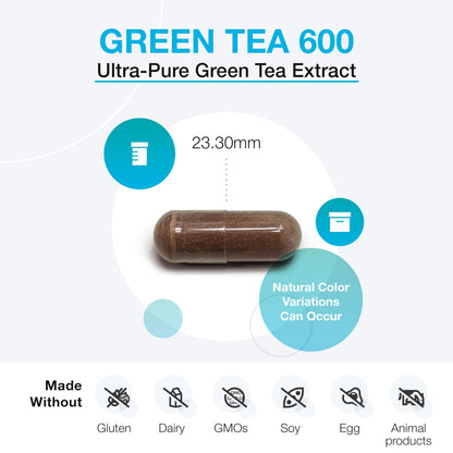 XYMOGEN Green Tea 600 - Ultra Pure Green Tea Extract Capsules - Immune Support, Heart & Brain Health | Gluten Free, Vegan, Non-GMO | 60 Capsules