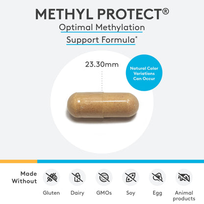 XYMOGEN Methyl Protect — Optimal Methylation Formula with Methyl Folate, Methylcobalamin B12, Riboflavin + B6 | 120 Capsules