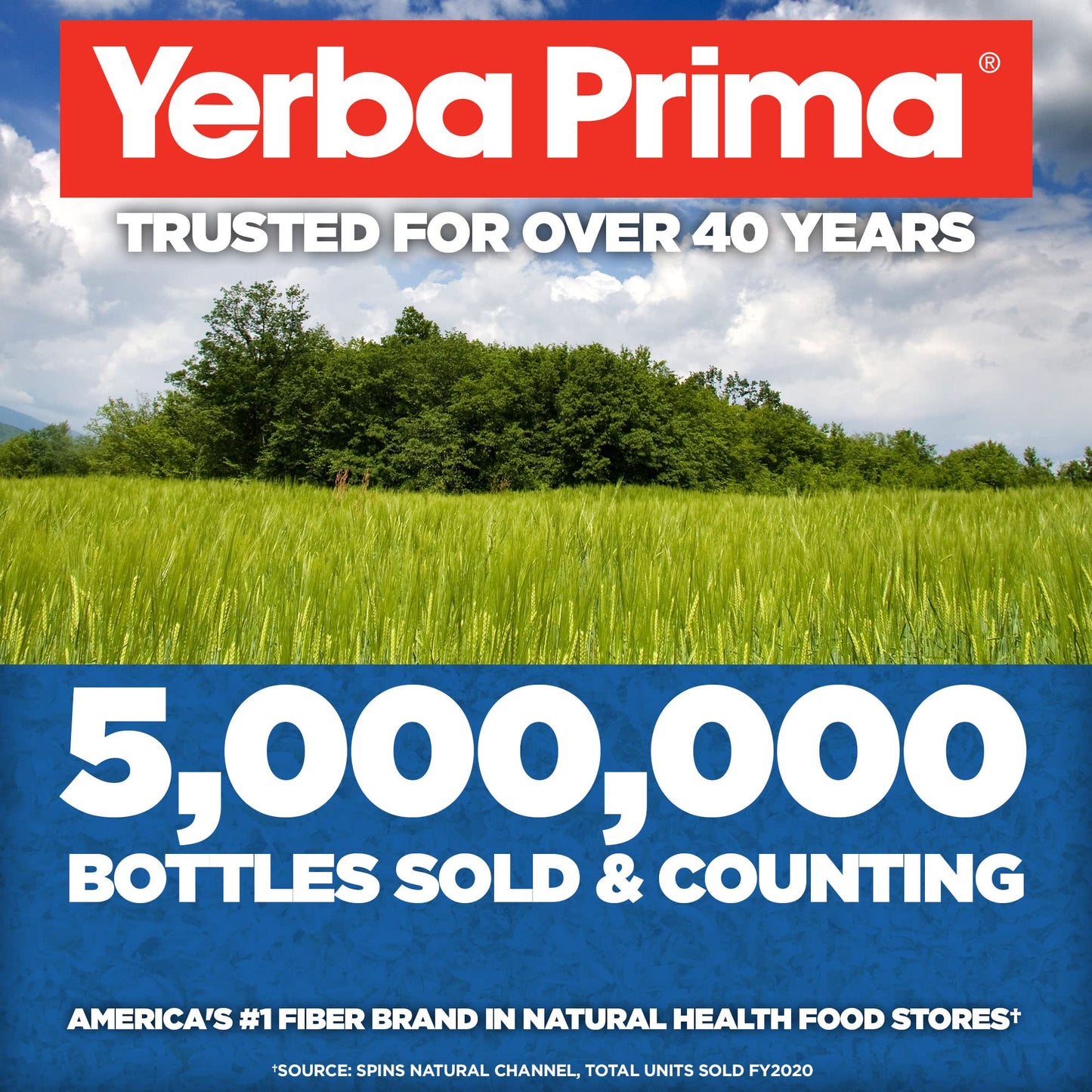 Yerba Prima Psyllium Whole Husks Colon Cleanser – 12 oz (Pack of 3)