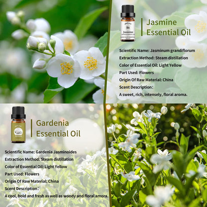 Yethious Jasmine & Gardenia Essential Oil Set – 2x10ml Pure Fragrance Oils